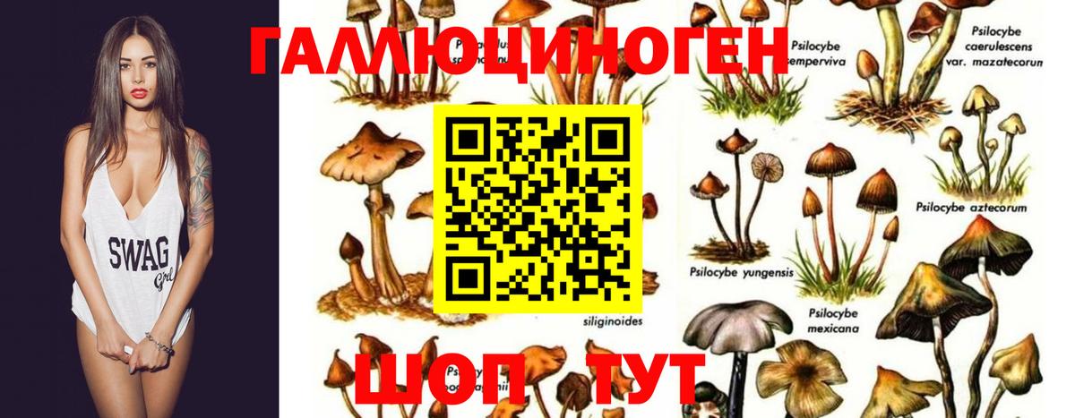 Галлюциногенные грибы мухоморы Наро-Фоминск